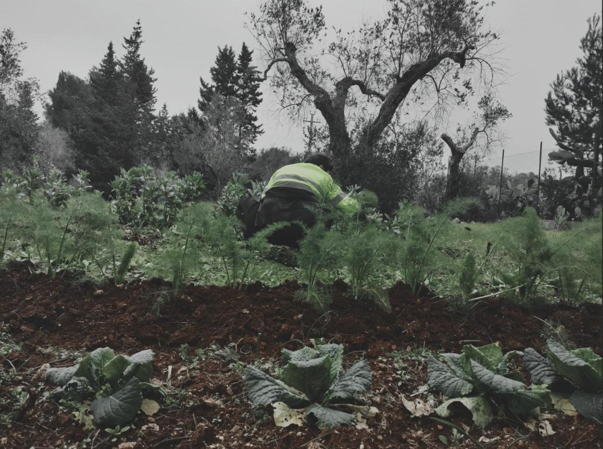 Salento Home Farm Bagnolo del Salento Εξωτερικό φωτογραφία