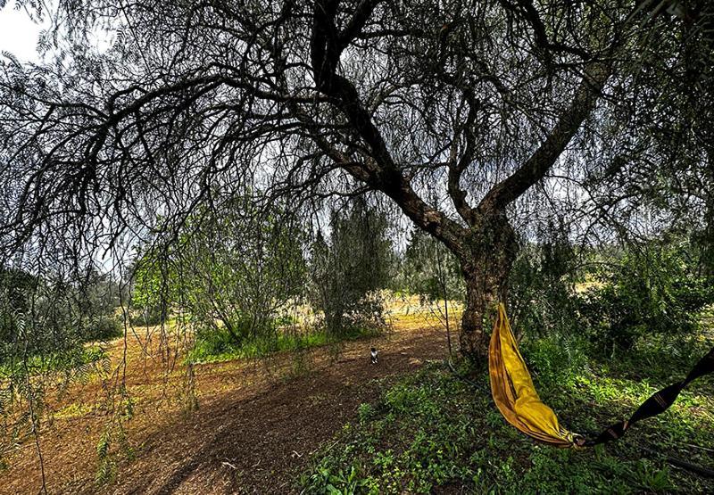 Salento Home Farm Bagnolo del Salento Εξωτερικό φωτογραφία
